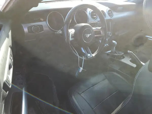 1FATP8UH0K5158566 2019 FORD MUSTANG - Image 8