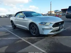 1FATP8UH0K5158681 2019 FORD MUSTANG