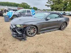 1FATP8UH0K5162147 2019 FORD MUSTANG