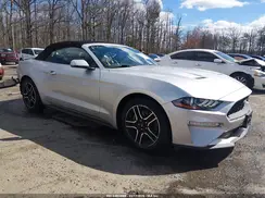 1FATP8UH0K5162441 2019 FORD MUSTANG
