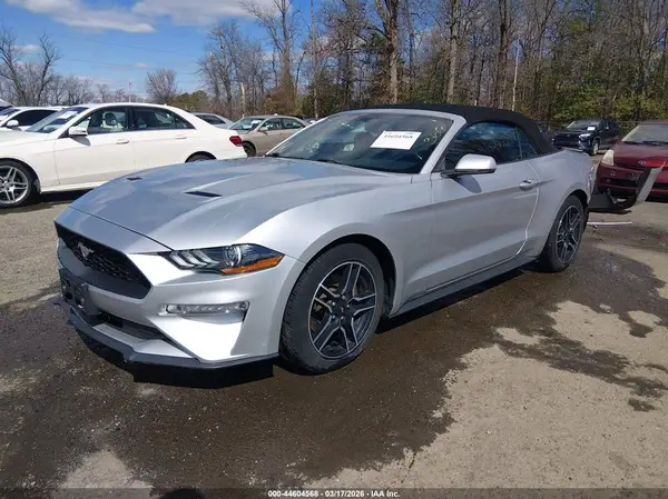 1FATP8UH0K5162441 2019 FORD MUSTANG - Image 2