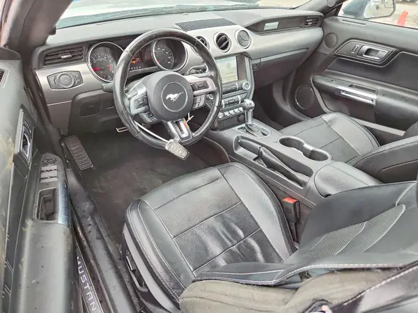 1FATP8UH0K5170507 2019 FORD MUSTANG - Image 8