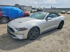 1FATP8UH0K5170703 2019 FORD MUSTANG