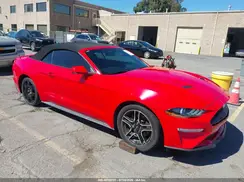1FATP8UH0K5171026 2019 FORD MUSTANG