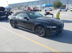 1FATP8UH0K5171186 2019 FORD MUSTANG