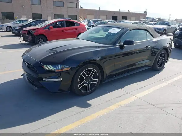 1FATP8UH0K5171186 2019 FORD MUSTANG - Image 2