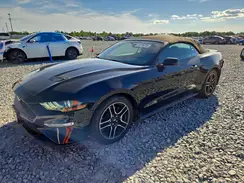 1FATP8UH0K5181734 2019 FORD MUSTANG