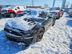 1FATP8UH0K5181930 2019 FORD MUSTANG