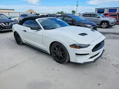 1FATP8UH0K5191602 2019 FORD MUSTANG