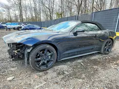 1FATP8UH0K5205191 2019 FORD MUSTANG