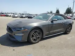 1FATP8UH0L5125312 2020 FORD MUSTANG