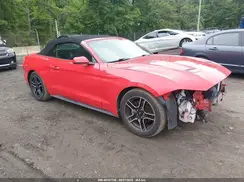 1FATP8UH0L5138786 2020 FORD MUSTANG