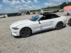 1FATP8UH0L5185266 2020 FORD MUSTANG