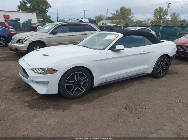 1FATP8UH0M5101044 2021 FORD MUSTANG - Image 2