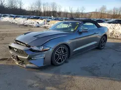 1FATP8UH0M5116353 2021 FORD MUSTANG