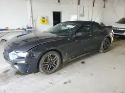 1FATP8UH0N5139150 2022 FORD MUSTANG