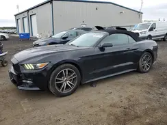 1FATP8UH1G5217129 2016 FORD MUSTANG