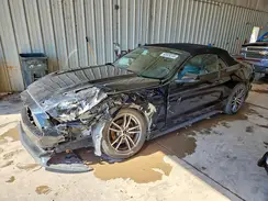 1FATP8UH1G5243164 2016 FORD MUSTANG