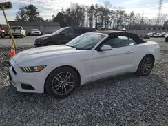 1FATP8UH1G5304528 2016 FORD MUSTANG