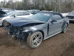 1FATP8UH1H5204141 2017 FORD MUSTANG