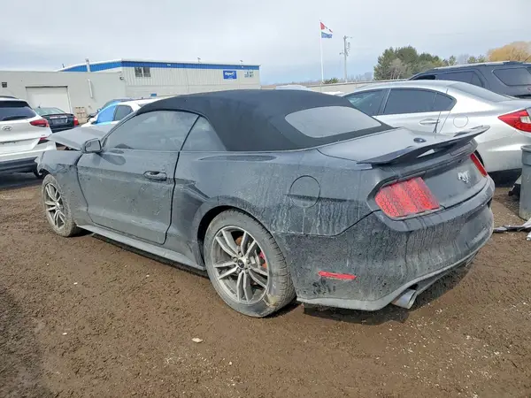 1FATP8UH1H5204141 2017 FORD MUSTANG - Image 2