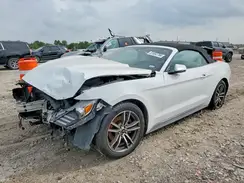 1FATP8UH1H5278787 2017 FORD MUSTANG