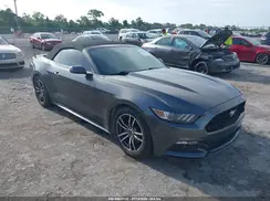 1FATP8UH1H5324280 2017 FORD MUSTANG