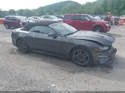 1FATP8UH1K5104774 2019 FORD MUSTANG