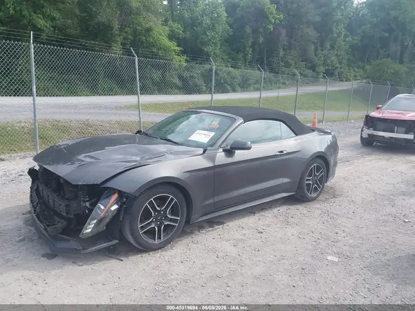 1FATP8UH1K5104774 2019 FORD MUSTANG - Image 2