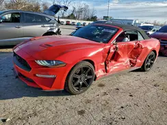 1FATP8UH1K5108632 2019 FORD MUSTANG
