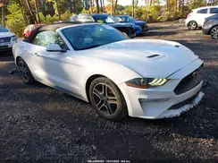 1FATP8UH1K5109571 2019 FORD MUSTANG