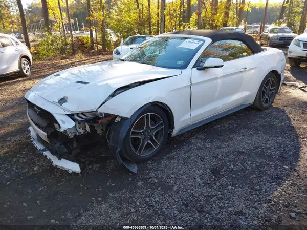 1FATP8UH1K5109571 2019 FORD MUSTANG - Image 2