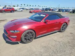 1FATP8UH1K5111708 2019 FORD MUSTANG