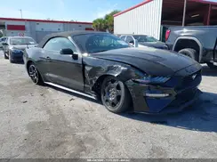 1FATP8UH1K5115533 2019 FORD MUSTANG