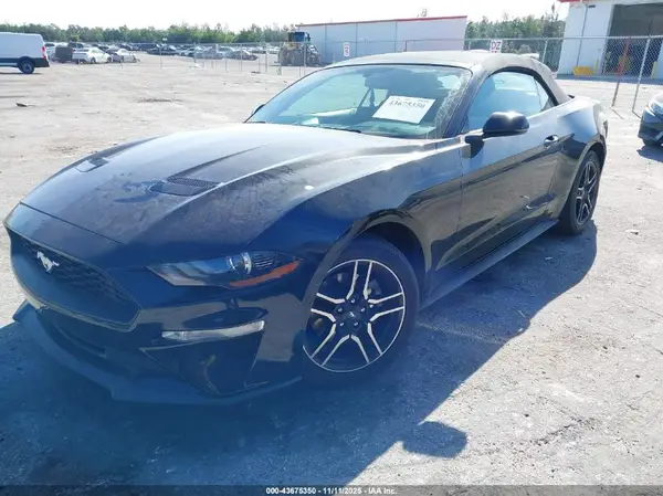 1FATP8UH1K5115533 2019 FORD MUSTANG - Image 2