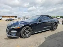1FATP8UH1K5115659 2019 FORD MUSTANG