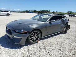1FATP8UH1K5135944 2019 FORD MUSTANG