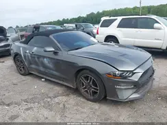 1FATP8UH1K5138665 2019 FORD MUSTANG