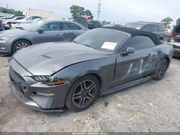1FATP8UH1K5138665 2019 FORD MUSTANG - Image 2
