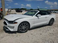 1FATP8UH1K5149956 2019 FORD MUSTANG