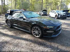 1FATP8UH1K5149990 2019 FORD MUSTANG