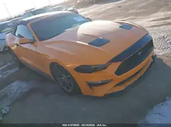 1FATP8UH1K5150041 2019 FORD MUSTANG