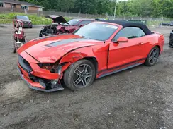 1FATP8UH1K5153389 2019 FORD MUSTANG