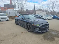 1FATP8UH1K5154557 2019 FORD MUSTANG