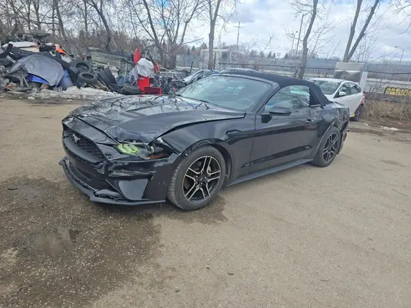 1FATP8UH1K5154557 2019 FORD MUSTANG - Image 2
