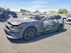 1FATP8UH1K5159144 2019 FORD MUSTANG