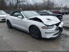 1FATP8UH1K5161444 2019 FORD MUSTANG