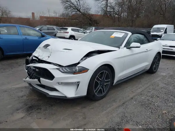 1FATP8UH1K5161444 2019 FORD MUSTANG - Image 2