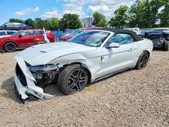1FATP8UH1K5165994 2019 FORD MUSTANG