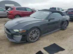 1FATP8UH1K5172427 2019 FORD MUSTANG